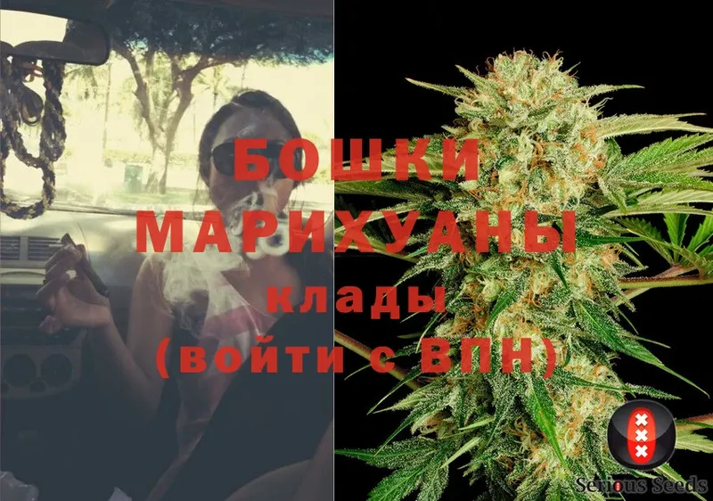 как найти наркотики  Камышин  Бошки марихуана SATIVA & INDICA 